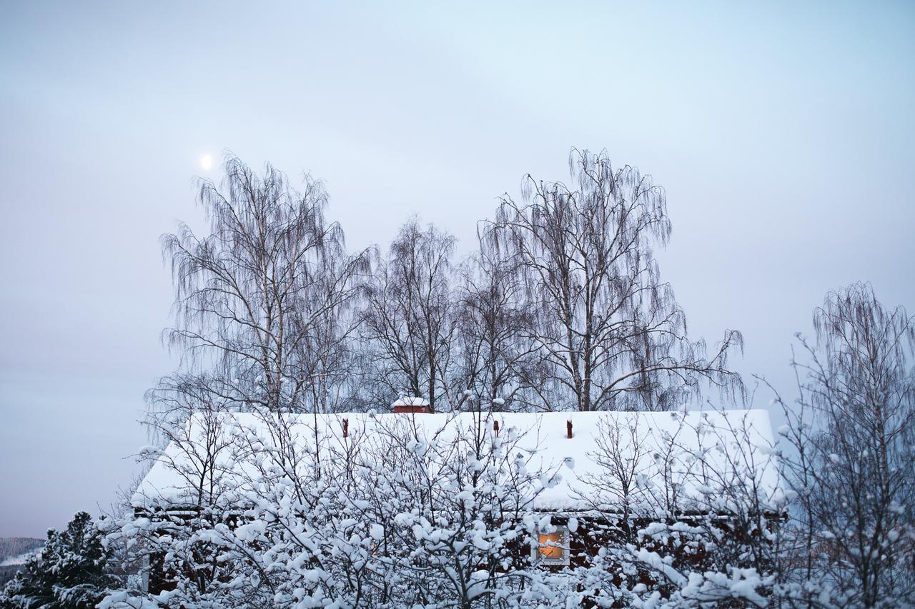 Helsingegarden Jarvso Exterior foto