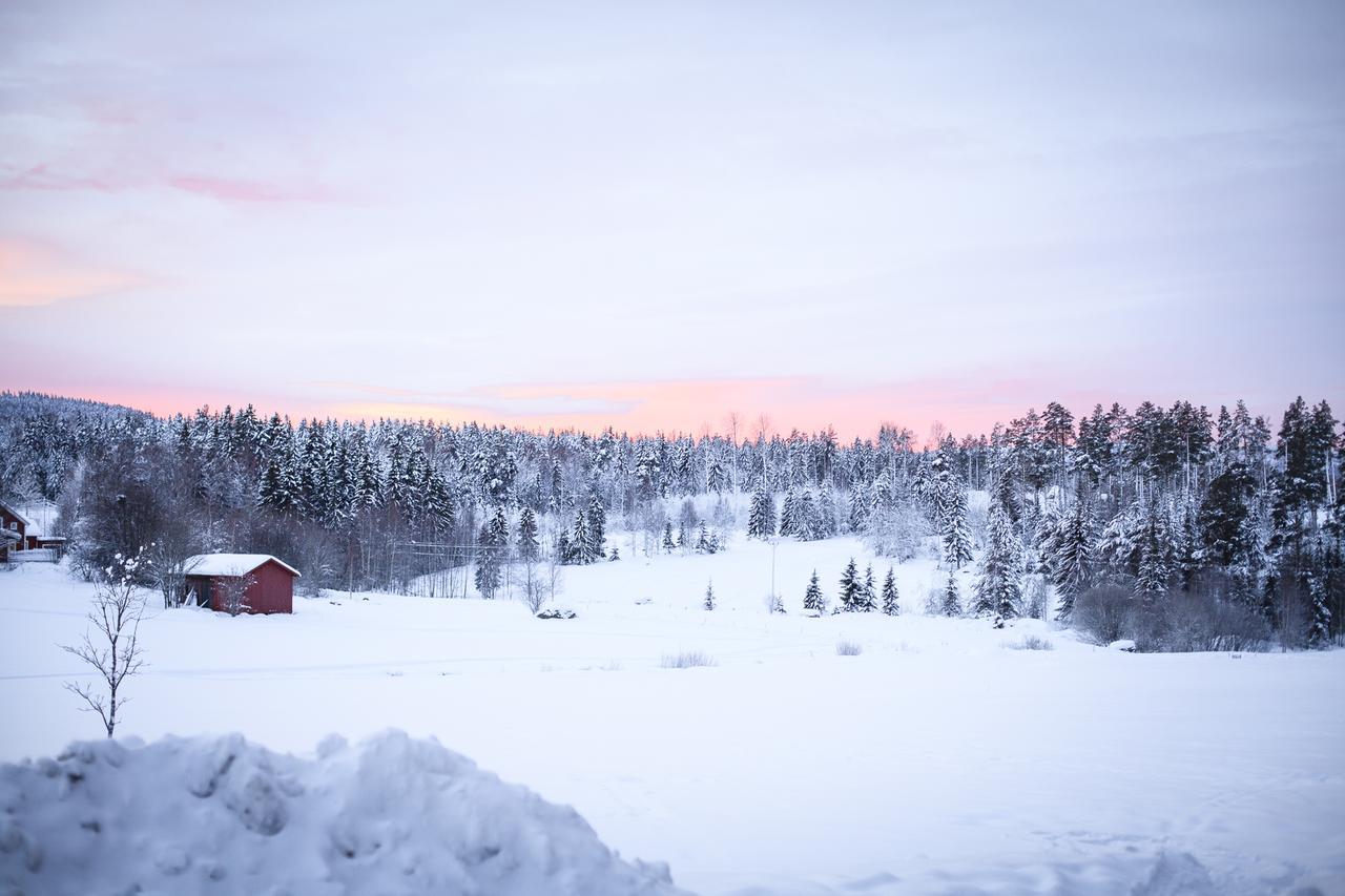 Helsingegarden Jarvso Exterior foto