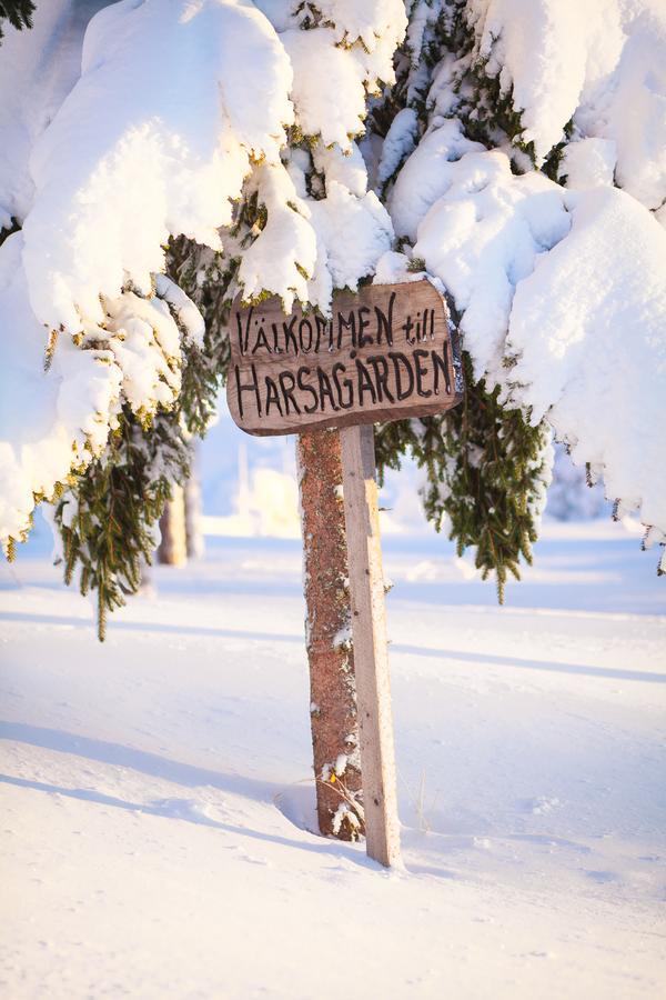 Helsingegarden Jarvso Exterior foto